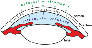 Non-Contact Tonometers 3